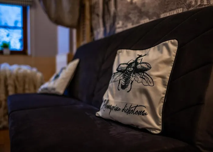 Art Z Bezplatnym Miejscem Postojowym W Hali Garazowej Lejlighed *