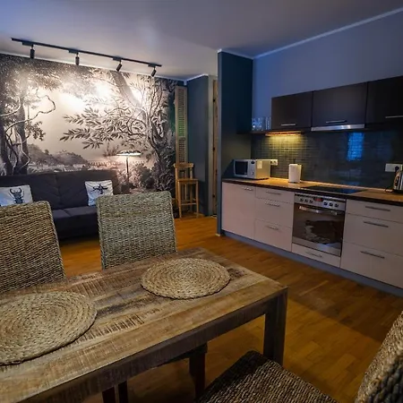 Art Z Bezplatnym Miejscem Postojowym W Hali Garazowej Apartment Karpacz