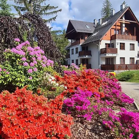 Daire Art Z Bezplatnym Miejscem Postojowym W Hali Garazowej Karpacz